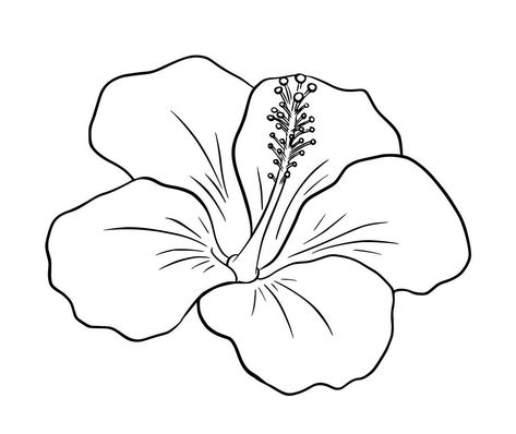 Hibiscus Coloring Page, Small Hibiscus Tattoo Simple, Hibiscus Flower Stencil, Hibiscus Tattoo Stencil, Hibiscus Flower Drawing Simple, Hibiscus Flower Tattoo Design, Hibiscus Outline, Printable Tattoo Designs, Hawaiian Flower Tattoos