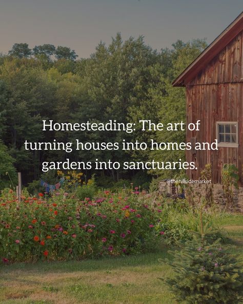 The perfect life 🫶 #homesteading #selfsufficiency #livingofftheland #homesteadlife #modernhomesteading #gardening #simpleliving | Instagram Homestead Quotes, Homesteading Quotes, Homestead Journal, Homestead Instagram, Rural Homestead, Functional Basement, Simple Homestead, Garden Homestead, The Perfect Life