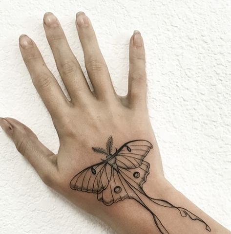 Dainty Moth Tattoo, Luna Moth Tattoo, Tattoo Designs Drawings, Dainty Tattoo, Tattoos With Kids Names, Insect Tattoo, Moth Tattoo, Dainty Tattoos, Luna Moth