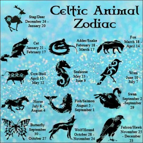 Astrology Animals, Celtic Animal Zodiac, Zodiac Sign Dates, Celtic Zodiac Signs, Celtic Zodiac, Celtic Animals, Animal Zodiac, Animal Spirit Guides, Zodiac Dates