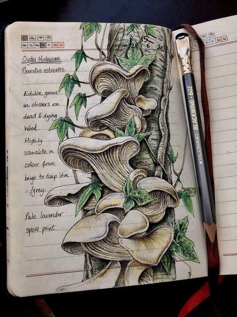 Natural Journal, Farm Journal, Plant Illustrations, Botanical Sketchbook, Handcrafted Journals, Mushroom Drawing, Nature Sketch, Art Appliqué, Artist Journal