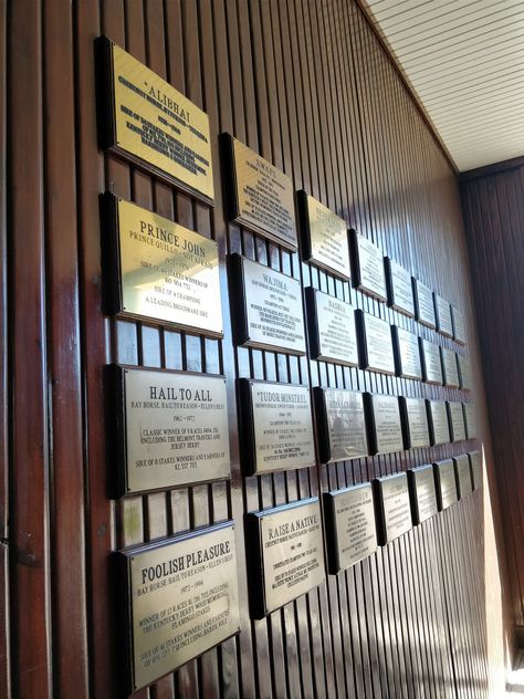 Certificate Wall Display Ideas, Certificate Wall, Certificate Display, Commercial Reception, Architect Data, Environmental Graphics Signage, Trophy Shop, Academic Awards, School Hallway