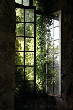 Jendela Vintage, 숲 사진, Green Academia, An Open Window, Dark Naturalism, Dark Green Aesthetic, Slytherin Aesthetic, Secret Gardens, Window View