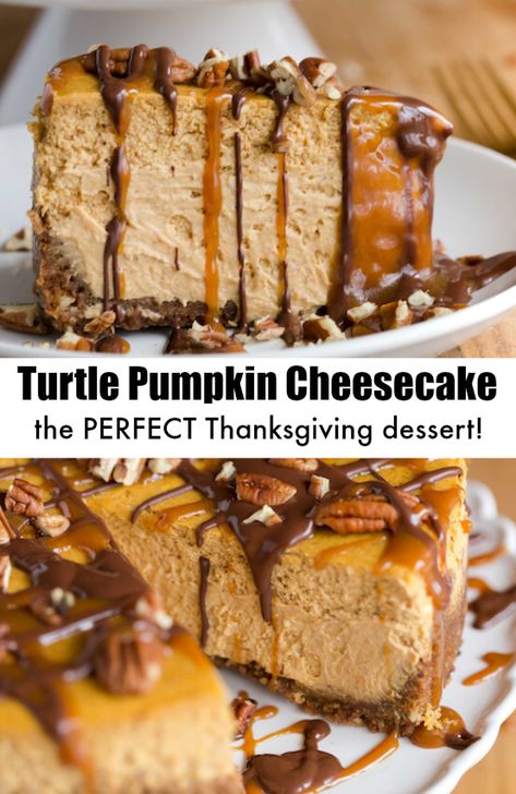 Spiced Cheesecake, Turtle Pumpkin, The Perfect Cheesecake, Thanksgiving Cheesecake, Perfect Cheesecake, Dessert Halloween, Pumpkin Spice Cheesecake, Pecan Desserts, Dessert Parfait