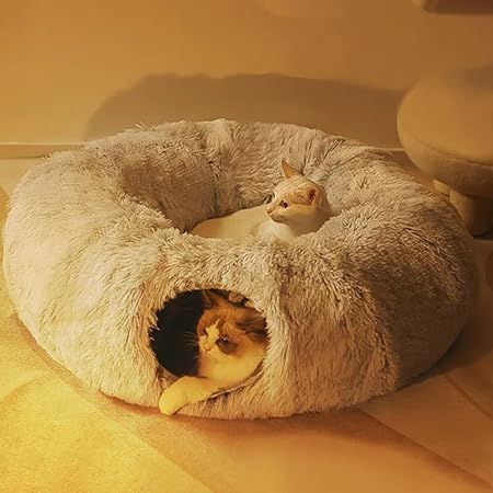 Amazon.com: TRENBADER Plush Cat Bed with Tunnel for Indoor Cats, Multifunctional Cat Tunnel Bed with Peephole, Fluffy Donut Cat Bed with Tunnel, 63 Inch Diameter Collapsible Tunnel Tube for Multi Cats (Grey) : Pet Supplies Plush Dog Bed, Kitten Beds, Donut Cat, Donut Bed, Dog Basket, Dog Beds For Small Dogs, Cat Tunnel, Cat Plush, Cat Supplies