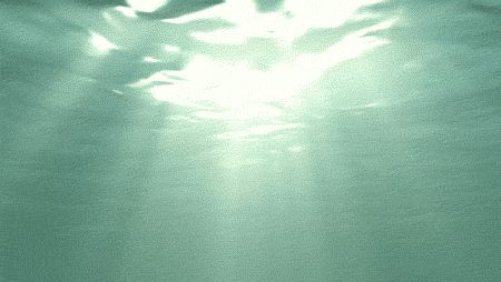 via GIPHY Sunrise Gif, Sea Gif, Ocean Gif, Water Gif, Water Aesthetic, Catty Noir, Mermaid Aesthetic, Daily Task, Green Water