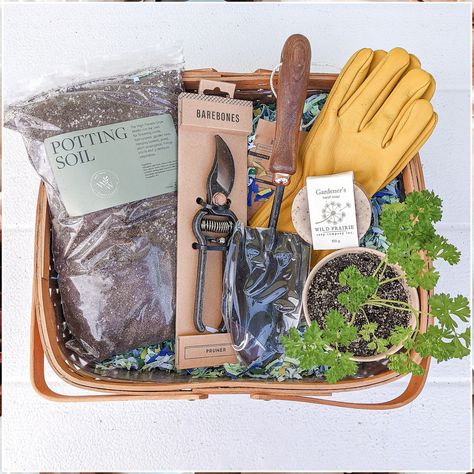 Gardening Christmas Gift Basket - Discover your desired items at Amazon.com. Buy them NOW! Gardening Hamper, Gardening Gift Box, Gardening Gift Baskets, Homemade Gift Baskets, Corporate Gift Baskets, Dollar Store Diy Organization, Themed Gift Baskets, Christmas Tree Decorations Diy, Diy Dollar Tree Decor