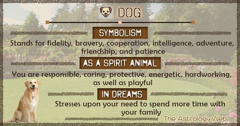 Dog symbol, what does a dog symbolize, black dog meaning, dreams about dogs (in Islam, Bible), dog in different religions Dogs In Witchcraft, Dog Spirit Animal Meaning, Animal Omens, Dog Spirit Animal, Dog Symbolism, Tarot Symbols, Animal Totem Spirit Guides, Dog Symbol, Animal Symbols