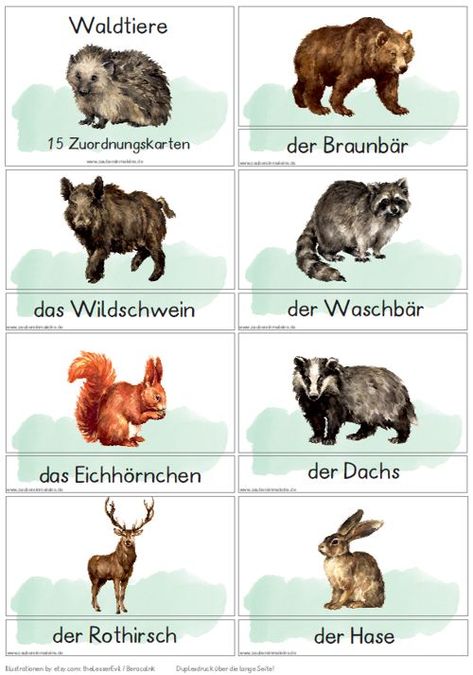 zuordnungskarten-waldtiere-dinosaurier - Zaubereinmaleins - DesignBlog Nature Projects, Winter Kindergarten, German Language Learning, Animal Projects, Woodland Party, German Language, Explore Nature, Working With Children, A Christmas Story