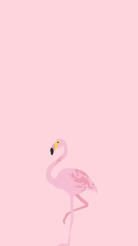 Pink Flamingos Wallpaper, Flamingo Iphone Wallpaper, Flamingo Wallpaper Aesthetic, Flamingo Aesthetic Wallpaper, Flamingo Wallpaper Iphone, Flamingo Aesthetic, Flamingo Figurines, Flamingo Background, Pinky Wallpaper