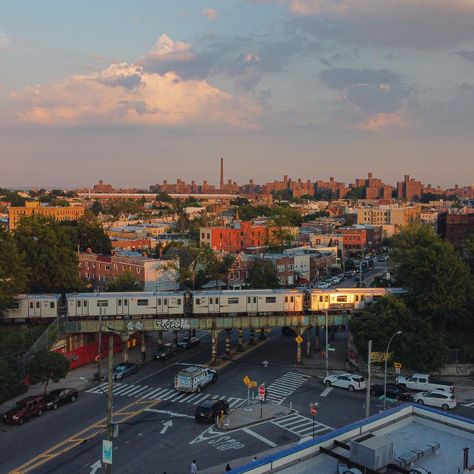 The Bronx Aesthetic, Bronx Aesthetic, New York Sightseeing, Pretty Sights, Extra Space Storage, Bronx Nyc, The Bronx New York, Bronx Zoo, Bronx New York