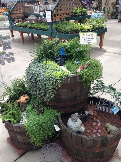 1000+ ideas about Wine Barrel Planter on Pinterest | Wine barrel ... Forest Bonsai, Fairy Garden Design Ideas, Fairy Garden Containers, Fairy Garden Ideas, Fairy Garden Plants, Garden Container, Garden Houses, Gardens Ideas, Container Ideas