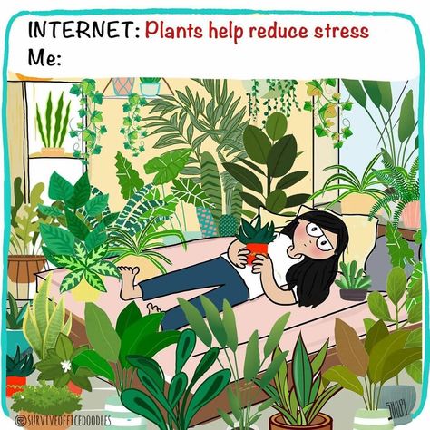 Humour, Plant Jokes, Gardening Memes, Delonix Regia, Tattoo Plant, Seed Kit, Indoor Greenhouse, Plant Help, Seed Starter