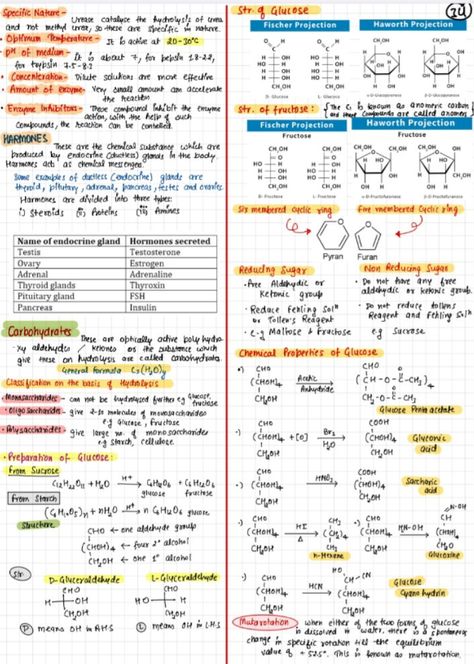 Bio Molecules, Zoology Notes, Chemistry Formulas, Notes Chemistry, Class 12 Notes, Organic Chemistry Notes, Chemistry Project, Chemistry Class 12, Neet Notes