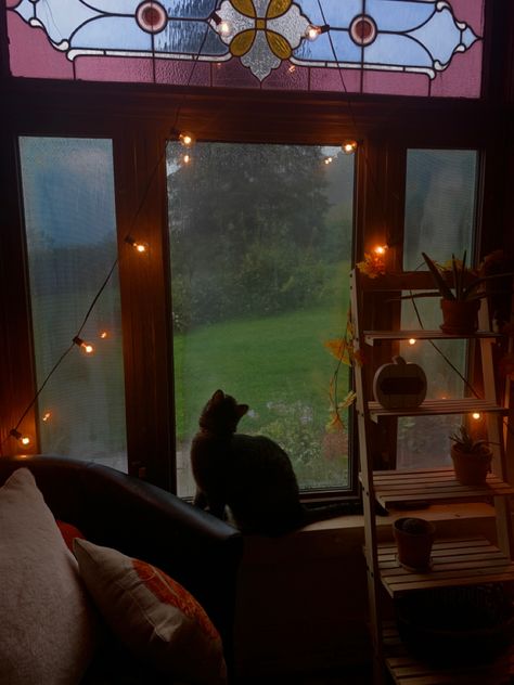 Fall Rainy Day, Rainy Apartment, Rainy Fall, Rainy Autumn, Rainy Fall Aesthetic, Cosy Rainy Day, Fall Weather Aesthetic, Rainy Fall Morning, Cozy Rainy Fall Aesthetic