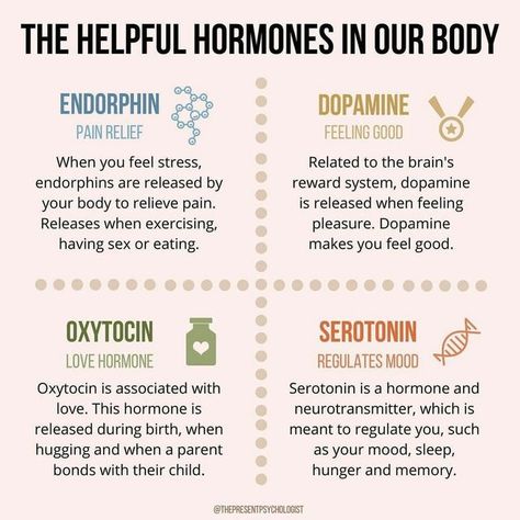 Hypothalamus And Pituitary Gland, Wild Diet, Love Hormone, Tiny Quotes, Future Job, Low Carbs, Reward System, Future Jobs, Medical Knowledge