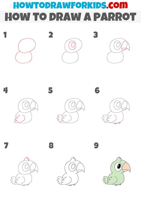 Parrot Simple Drawing, How To Draw A Parrot Easy, Parotts Bird Drawing Easy, Parrot Drawing Easy Step By Step, How To Draw Cartoon Animals Step By Step, How To Draw A Parrot Step By Step, How To Draw A Parrot, Parrot Drawing Simple, How To Draw Animals Step By Step