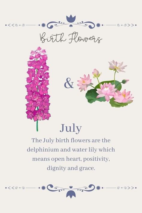 July Birth Flowers, Wildflower Tattoos, Lily Meaning, Water Lily Design, Symbols Meaning, Water Lily Tattoos, Lilies Drawing, July Birth Flower, July Flowers