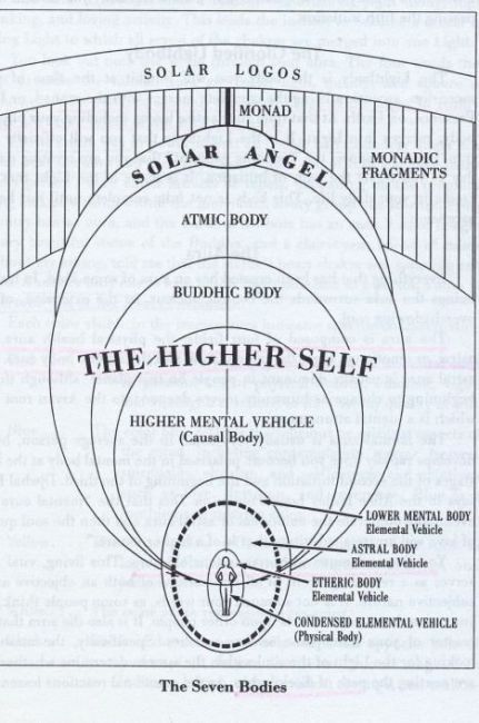 Now there are beings whose lowest member is the etheric body; they too are sevenfold, having an eighth member, higher than spirit-man. We begin to enumerate thus: etheric body, astral body, and so forth, finishing with a member above our Tantra Mantra, Solar Logo, Pranic Healing, Etheric Body, Spirit Science, Higher Self, Les Chakras, Chakra Meditation, Udaipur