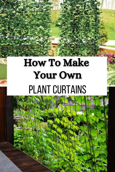 In this post, we’ll cover all the steps for both faux plant curtains and living plant curtains. You’ll find a list of materials and detailed steps, which will give you a great set of plant curtains. Curtain Plants Outdoor, Living Curtains Plants, Plants As Curtains, Plant Curtain Window, Curtain Creeper Plant, Balcony Hacks, Mindfulness Garden, Outdoor Bamboo Curtains, Curtain Plants