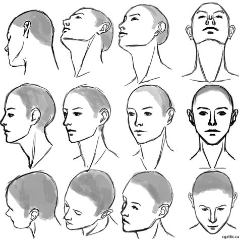 Head angles & hairline Draw A Head, Head Drawings, Side View Of Face, Side View Drawing, Tree Drawings Pencil, Realistic Eye Drawing, Drawing Heads, Drawing Examples, 얼굴 그리기