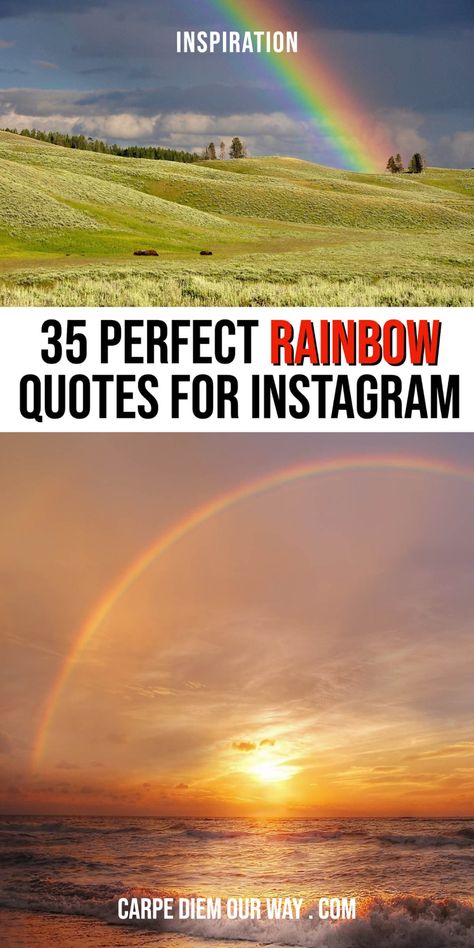 35+ Perfect Quotes for rainbows and Rainbow captions for Instagram | Rainbow captions instagram funny | inspirational rainbow captions | beach rainbow captions | rain and rainbow captions Quotes For Rainbow, Rainbow Funny Quotes, Rain And Rainbow Quotes, Chasing Rainbows Quotes, Rainbow Instagram Captions, Quotes About Rainbows Inspirational, Storm Captions, Rainbow Quotes Inspirational Short, Rainbow After The Storm Quote