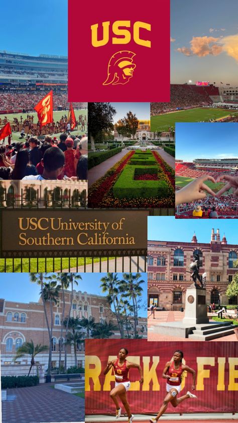 #dream #usc #southerncalifornia Usc University, Usc College, University Inspiration, Life In Usa, College Inspiration, Vision Board Pics, College Vision Board, California Baby, College Motivation