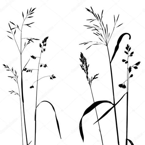 Wild Grass Drawing, Herb Tattoo, Herbs Image, Framed Tattoo, Plant Tattoo, Bare Tree, Silhouette Illustration, Leaf Drawing, Plant Drawing