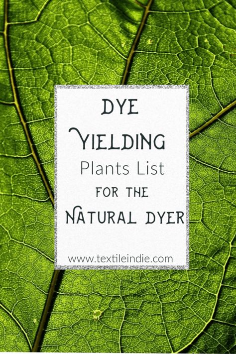 Learn what to use to naturally dye fibers, fabrics and yarns with this list of natural dye yielding plants. Flowers, leaves, barks, roots, bugs and kitchen scraps that make beautiful colors. Dye material options, tutorials and information to get started with your natural dyeing adventures. Acorn Dye, Natural Green Dye, Eco Dyeing Fabric, Tinta Natural, Fabric Dyeing Techniques, Kitchen Scraps, Diy Dye, Medicinal Garden, Natural Dye Fabric