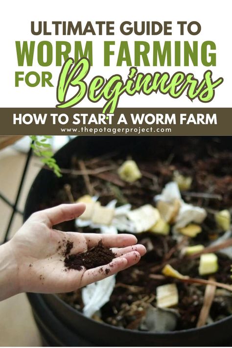 A hand holding a small amount of soil in front of a compost bin filled with organic waste, with a green fern visible on the right side. Worm Farming Diy, Worm Farming For Profit, How To Start A Worm Farm, Farming For Beginners, Cricket Farm, Worm Farm Diy, Composting For Beginners, Cricket Farming, Worm Beds