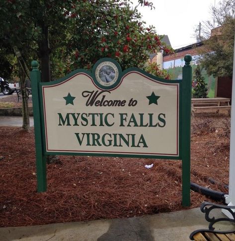 Mystic Falls Virginia, Vampire Diaries Poster, Vampire Diaries Wallpaper, Vampire Diaries Damon, Vampire Diaries Cast, Mystic Falls, Caroline Forbes, Stefan Salvatore, Crazy Life