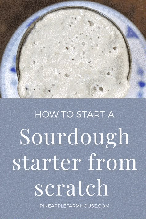 How to start a sourdough starter from scratch￼ Sour Dough Bread Starter Recipe, Sourdough Bread Starter, Dough Starter, Sourdough Starter Discard Recipe, Homemade Sourdough Bread, Bread Starter, Sourdough Starter Recipe, Sourdough Baking, Sourdough Bread Recipe