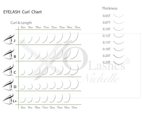 Eyelash Length Chart, Lash Curl Chart, Lash Chart, Best Eyelashes, Lash Designer, Eyelash Logo, Eyelash Extensions Styles, Perfect Eyelashes, Eyelash Extentions