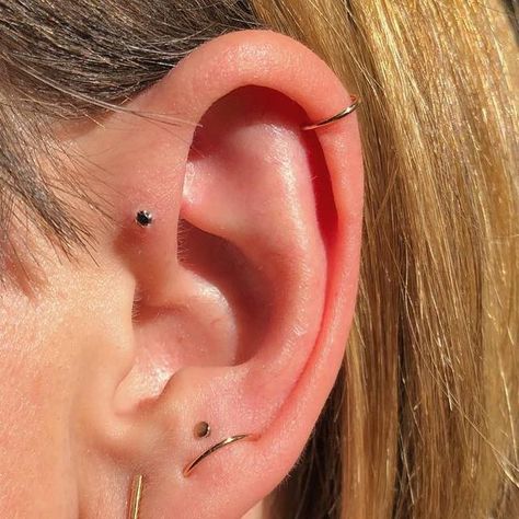 Orbit Piercing, Lobe Orbital Piercing, Orbital Piercing Lobe, Orbital Lobe Piercing, Helix And Forward Helix Piercing, Forward Helix Piercing Jewelry, Curated Piercings, Stacked Lobe Piercing, Piercing Party