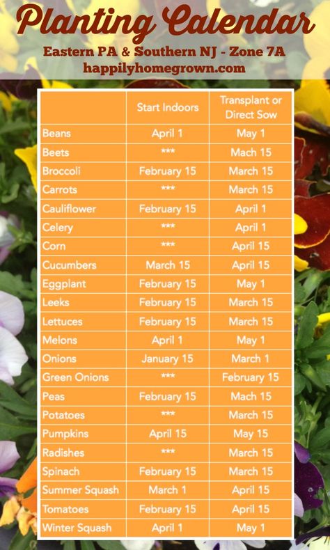 Do you live in eastern PA or southern NJ and want to know when to start your seeds? A planting calendar specific to our area is key! Gardening Calendar, Growing Calendar, When To Plant Vegetables, Planting Calendar, Garden Calendar, Potager Garden, Urban Homesteading, Gardening Advice, Fruit Plants