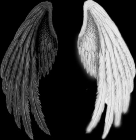 Fallen Angel Wings Drawing, Black Wings Drawing, Angel And Demon Wings, Black And White Angel Wings, Black And White Wings, Fallen Angel Wings, Angelic Wings, Emoji Cat, Angel Wings Drawing