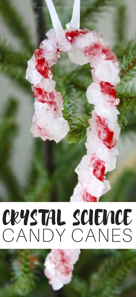 Candy Cane Science, Christmas Science Activities, Christmas Science Experiments, Candy Cane Crafts, Growing Crystals, Christmas Science, Christmas Stem, Crystal Candy, Science Activity