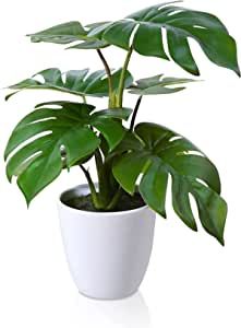 HCCY Fake Plants 7.2" with 6 pcs Leaves Artificial Plants Decorative for Home Decor Faux Plants in Pot Bathroom Plants No Sunlight, Best Bathroom Plants, Fake Potted Plants, Centerpiece For Table, Artificial Plants Indoor, Desk Plants, Fake Plants Decor, Plant Crafts, Artificial Potted Plants