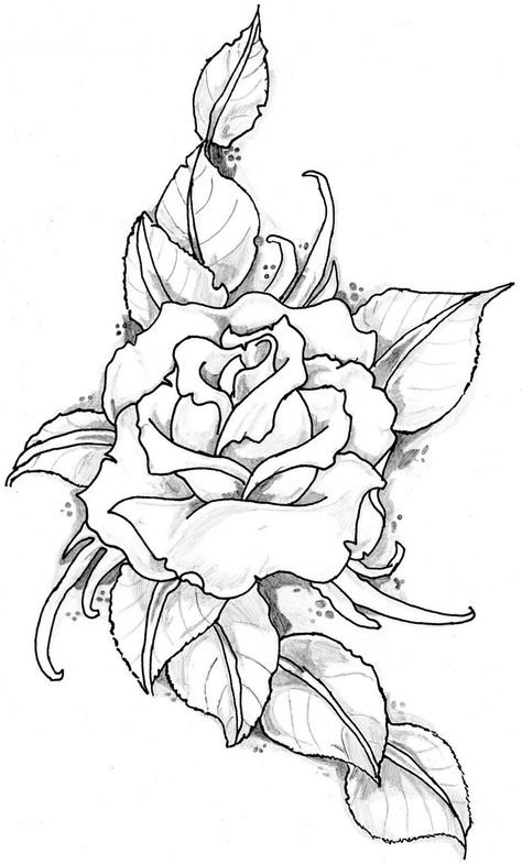 Rose Tattoo Image by ElTattooArtist Akvarel Illustration, Tattoo Rose, Tooling Patterns, Rose Drawing, Wood Burning Patterns, Roses Drawing, Trendy Tattoos, Flower Mandala, Rose Tattoos