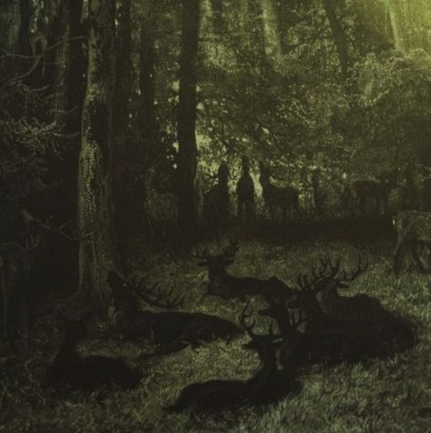 Gustavo Dore, Deer In The Woods, Gustave Dore, Norman Rockwell, Art And Illustration, Dark Forest, Enchanted Forest, In The Woods, Dark Fantasy