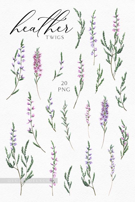 Excited to share this item from my #etsy shop: Watercolor heather pink flowers modern clipart  Heather clipart for rustic wedding invitations Boho clipart with forest  grass Forest Plants Tattoo, Thistle And Heather Tattoo, Heathers Flower, Heather Tattoo Flower, Mumma Tattoo, Heathers Tattoo, Heather Flower Tattoo, Heather Tattoo, Gl Logo