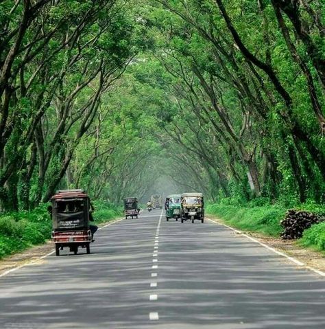 Wonderful road Photoshop Backgrounds Backdrops, Free Lightroom Presets Portraits, Photoshop Digital Background, Nature Background Images, Blurred Background Photography, Blur Background Photography, Green Screen Background Images, Beach Background Images, New Background Images