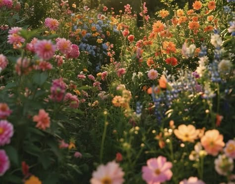 Wildflower Field Aesthetic, Wild Flowers Aesthetic, Flower Field Aesthetic, Wildflower Aesthetic, Wildflower Field, Nothing But Flowers, Flower Therapy, Up Book, Pretty Plants