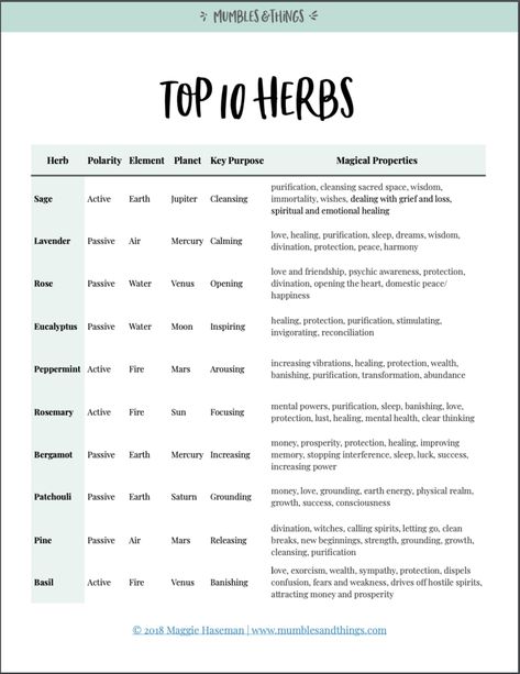 Using Herbs in Witchcraft — Mumbles & Things Herbs In Witchcraft, Herb Meanings, Practical Magic Quotes, Herbs For Sleep, Magic Energy, Witchcraft Herbs, Magickal Herbs, Grimoire Book, Magic Herbs