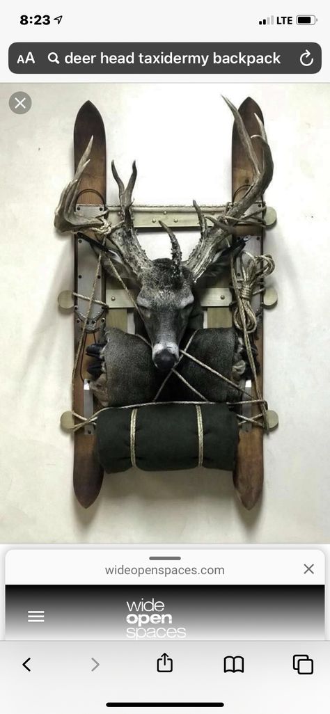 European Deer Mount Ideas, Moose Antler Decor, European Deer Mount, Deer Shoulder Mount, Deer Mount Decor, Deer Wall Mount, Deer Mount Ideas, Deer Hunting Decor, Deer Skull Mount