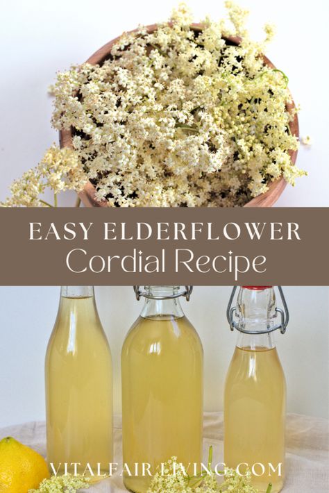 Easy Elderflower Cordial Recipe - Vital Fair Living Homemade Syrups, Elderflower Recipes, Cordial Recipe, Elderflower Cordial, Scratch Recipes, Pancake Syrup, Homemade Syrup, Refreshing Summer Drinks, Homemade Drinks