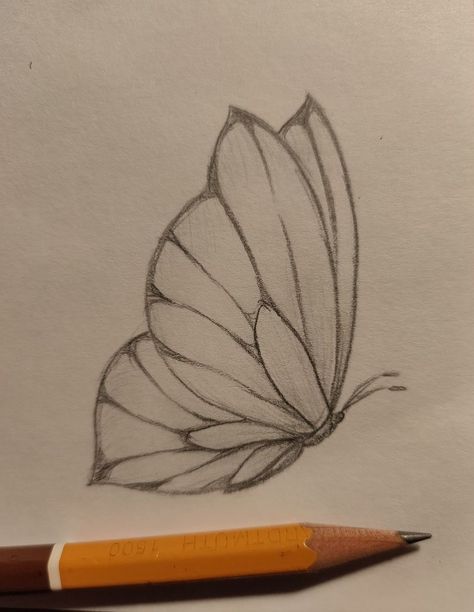 Butterful Drawing, Fun Drawing Ideas Doodles, Nature Drawings Simple Sketch, Lukisan Haiwan, Summer Sketches, How To Draw Human, Butterfly Sketch, Draw Human, Cool Pencil Drawings