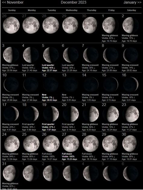 December Full Moon, Moon Phases Calendar, Calendar February, Moon Date, Moon Phase Calendar, July Calendar, November Calendar, Lunar Phases, Calendar March