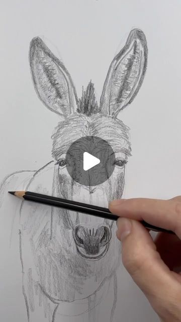 Mark Liam Smith on Instagram: "Sunday Subscriber Special! Draw a donkey line by line. 
I’m making this week’s subscriber-only content available to all followers. 👍" Funny Donkey Pictures Cartoon, How To Draw A Donkey Step By Step, Donkey Drawing Easy, Cute Donkey Drawing Art, Donkey Paintings, Donkey Painting, Donkey Images, Donkey Drawing, Donkey Art