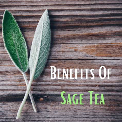 Benefits Of Sage Tea, Sage Benefits Herbs, Mint Tea Benefits, Sage Benefits, Basil Tea, Mint Plant, Sage Herb, Herbal Tea Benefits, Spearmint Tea